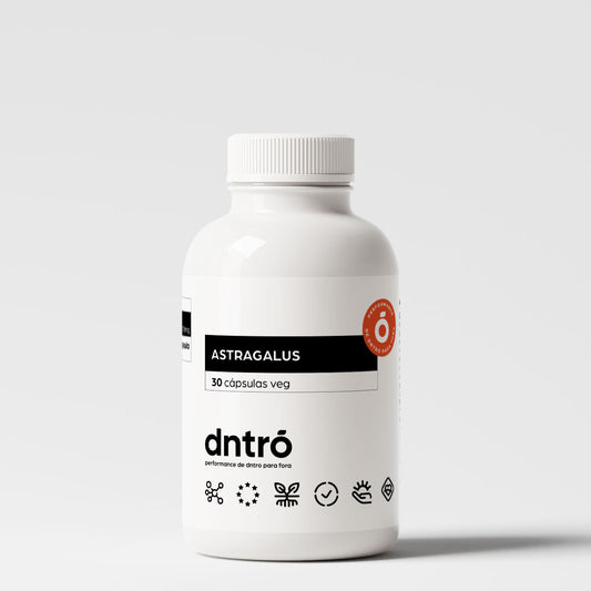 Astragalus