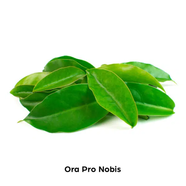 Ora-Pro-Nobis