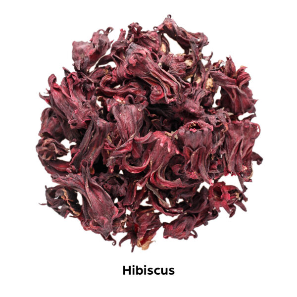 hibiscus dntro