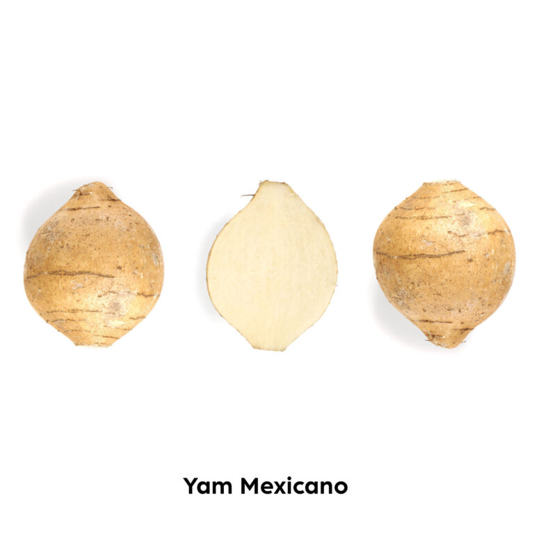 Yam Mexicano Dntro